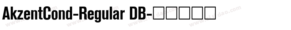 AkzentCond-Regular DB字体转换